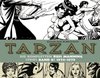 HC - Tarzan - Die kompletten Russ Manning Strips 8 - Bocola NEU