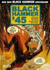 HC - Black Hammer '45 - Lemire / Ormston - Splitter NEU